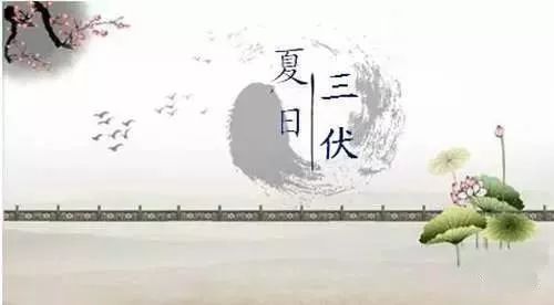 超長(zhǎng)版三伏天終于結(jié)束 這個(gè)夏天到底有多熱？